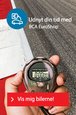 BCA EuroShop Auction Calendar